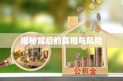 泰武揭秘背后的真相与风险