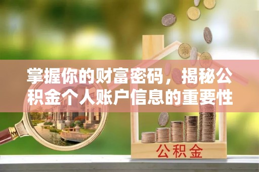 泰武掌握你的财富密码，揭秘公积金个人账户信息的重要性