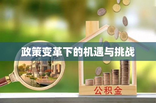 泰武政策变革下的机遇与挑战