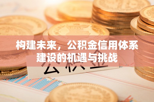 泰武构建未来，公积金信用体系建设的机遇与挑战