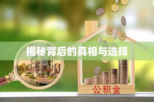 泰武揭秘背后的真相与选择