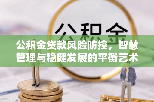 泰武公积金贷款风险防控，智慧管理与稳健发展的平衡艺术