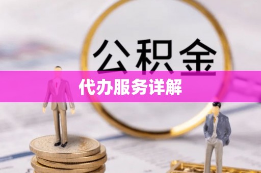 泰武代办服务详解