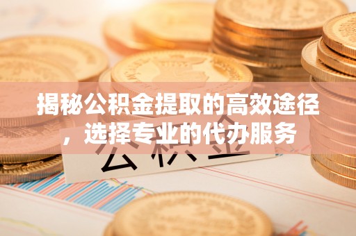 泰武揭秘公积金提取的高效途径，选择专业的代办服务