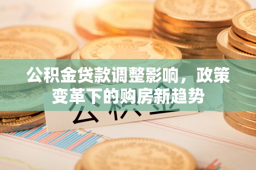 泰武公积金贷款调整影响，政策变革下的购房新趋势
