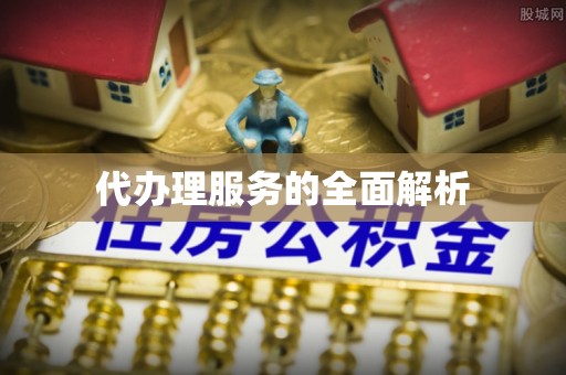 泰武代办理服务的全面解析