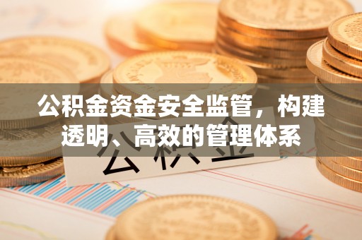 泰武公积金资金安全监管，构建透明、高效的管理体系