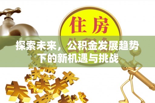 泰武探索未来，公积金发展趋势下的新机遇与挑战