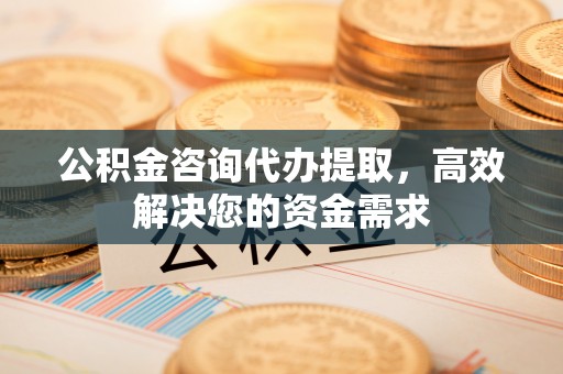 泰武公积金咨询代办提取，高效解决您的资金需求