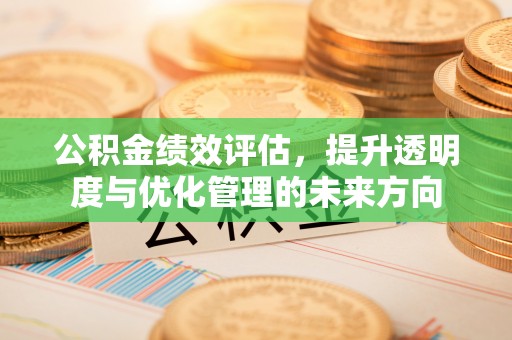 泰武公积金绩效评估，提升透明度与优化管理的未来方向
