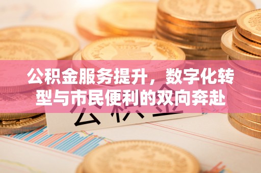 泰武公积金服务提升，数字化转型与市民便利的双向奔赴