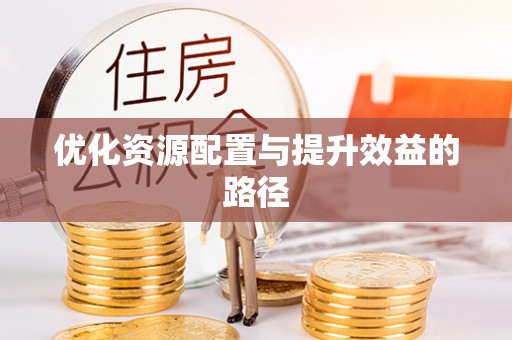泰武优化资源配置与提升效益的路径