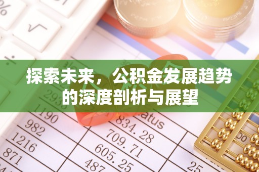泰武探索未来，公积金发展趋势的深度剖析与展望