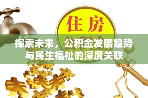 泰武探索未来，公积金发展趋势与民生福祉的深度关联