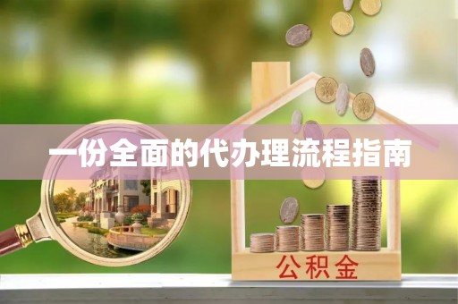 泰武一份全面的代办理流程指南