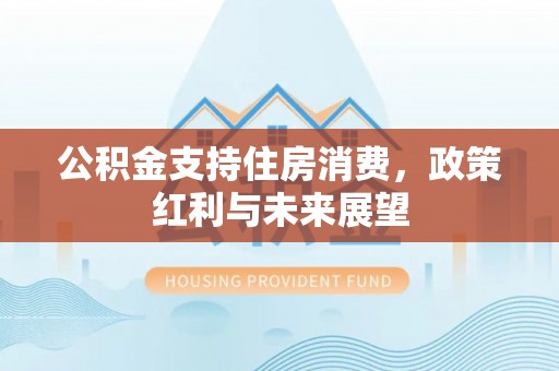 泰武公积金支持住房消费，政策红利与未来展望