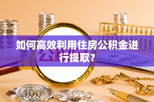 泰武如何高效利用住房公积金进行提取？