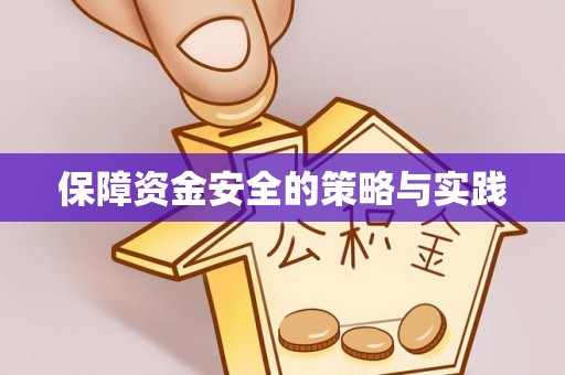 泰武保障资金安全的策略与实践