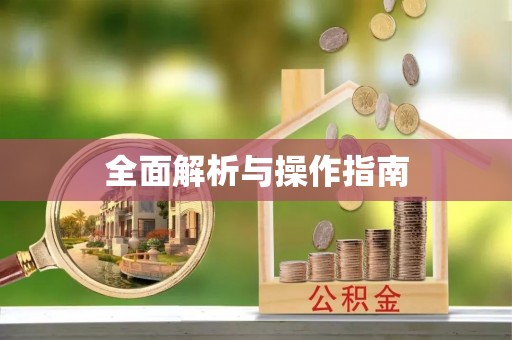 泰武全面解析与操作指南