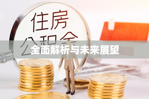 泰武全面解析与未来展望