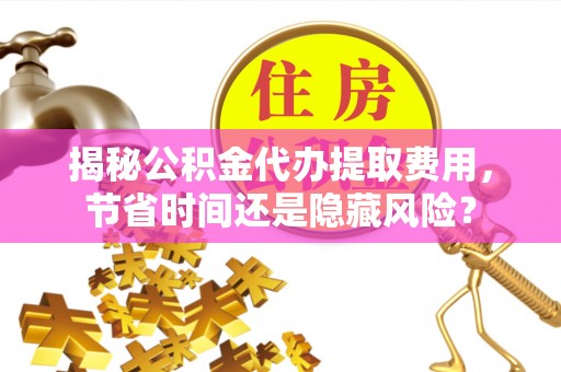 泰武揭秘公积金代办提取费用，节省时间还是隐藏风险？