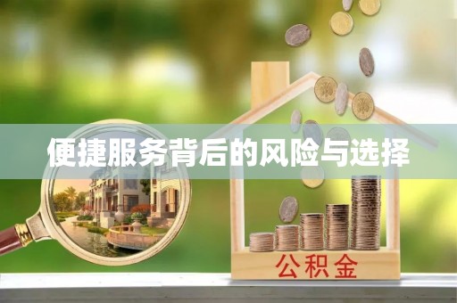 泰武便捷服务背后的风险与选择