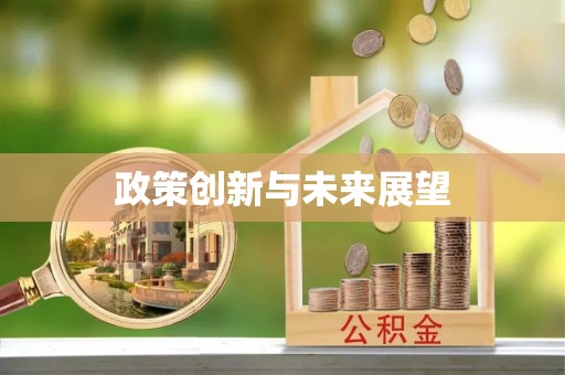 泰武政策创新与未来展望