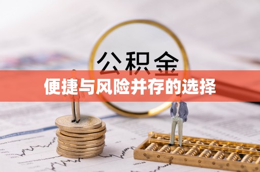 泰武便捷与风险并存的选择
