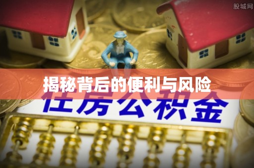 泰武揭秘背后的便利与风险