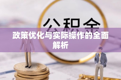 泰武政策优化与实际操作的全面解析